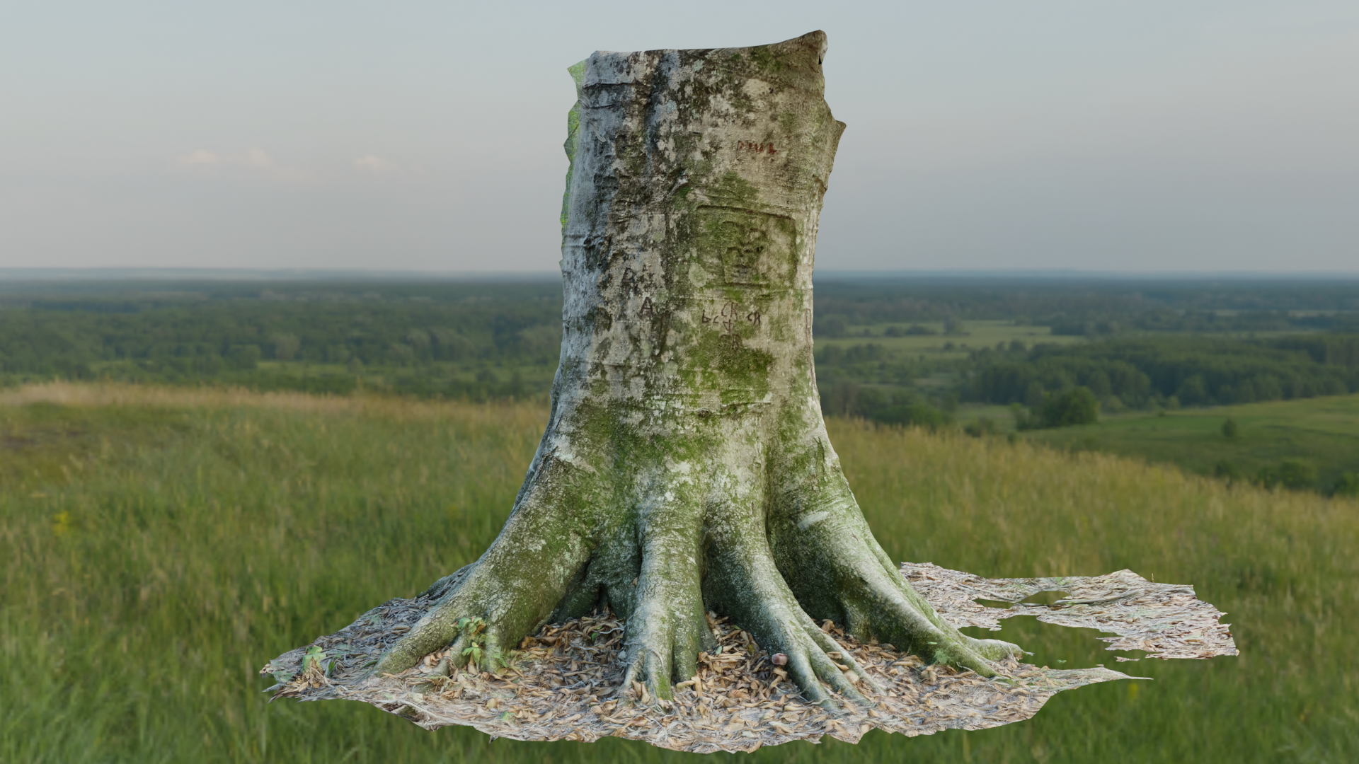 Tree Trunk Base - Photoscan preview image 1